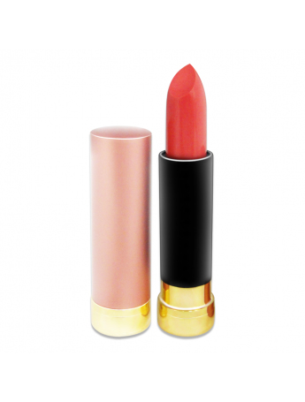 Makeup Cosmetic Lipsticks Make Your Own Lipstick