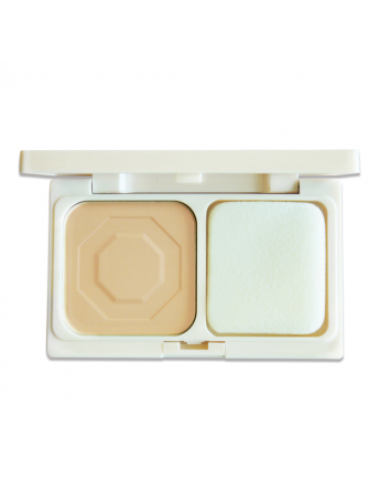 Color cosmetics pressed powder face makeup foundation